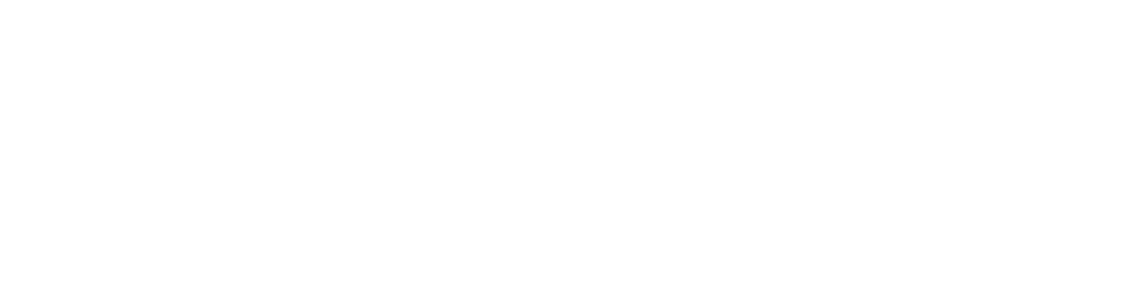 BÖGL - Logo